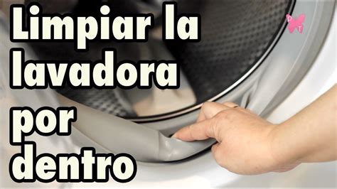 Limpiar La Lavadora Por Dentro Artofit