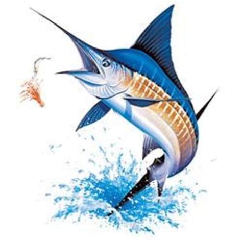 Blue Marlin Fishing Heat Press Transfer Print For T Shirt Sweatshirt