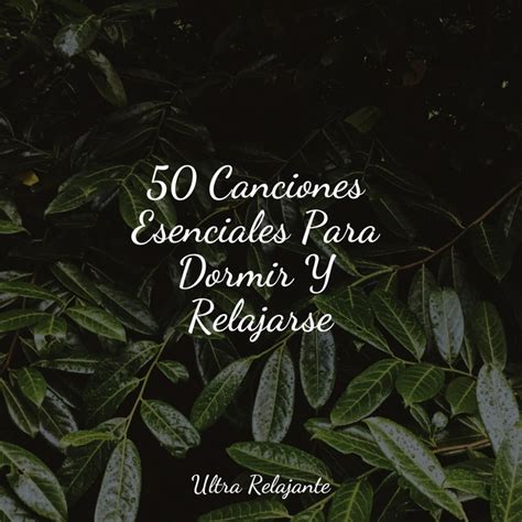 50 Canciones Esenciales Para Dormir Y Relajarse Album by Meditación