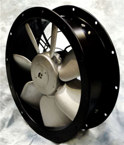 tom beatson  linkedin goodmorning britishsummer fans