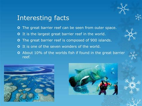 Ppt Great Barrier Reef Powerpoint Presentation Free Download Id