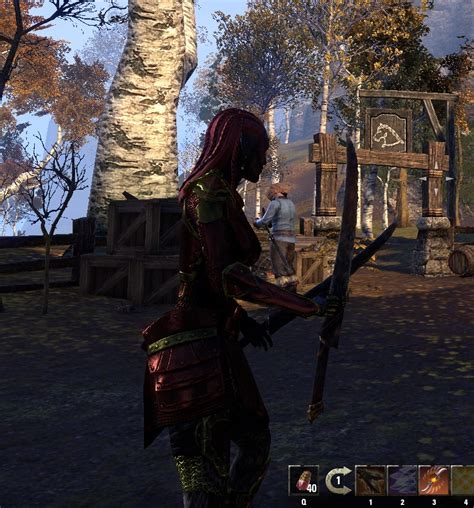 Few Issues Bugs After Patch Elder Scrolls Online