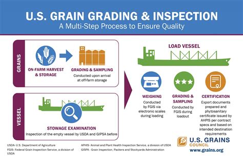 Infographics U S Grains Council