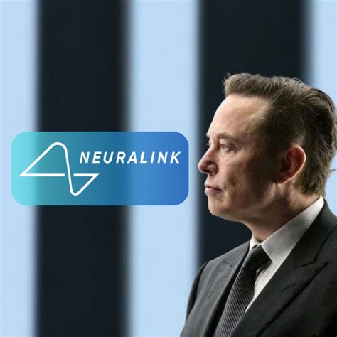 Elon Musk Chip Da Neuralink Pode Restaurar Vis O Tour Virtual