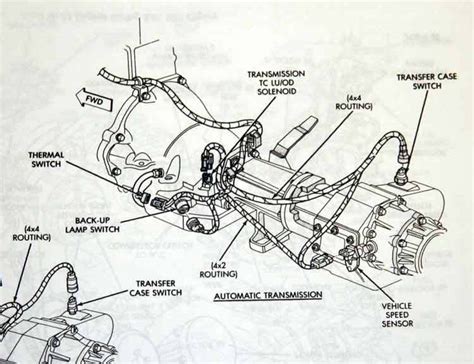 Transmission Harness Placement Diagram