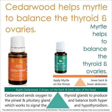 Thyroid And Ovary Balance Essential Oils Health Essential Oils For