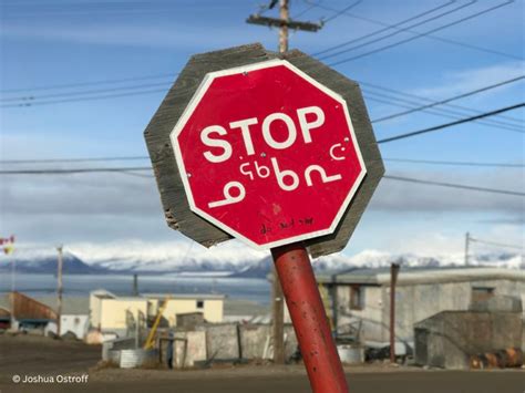 Le Wwf Canada Applaudit La D Cision Du Gouvernement Du Canada De