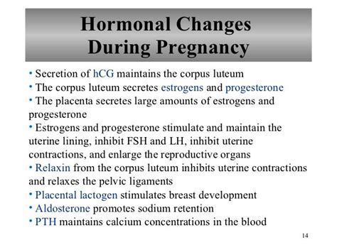 Chapter 23 Pregnancy Growth And Development