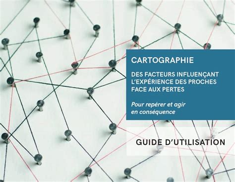 Cartographie Des Facteurs Influen Ant L Exp Rience Des Proches Aidants