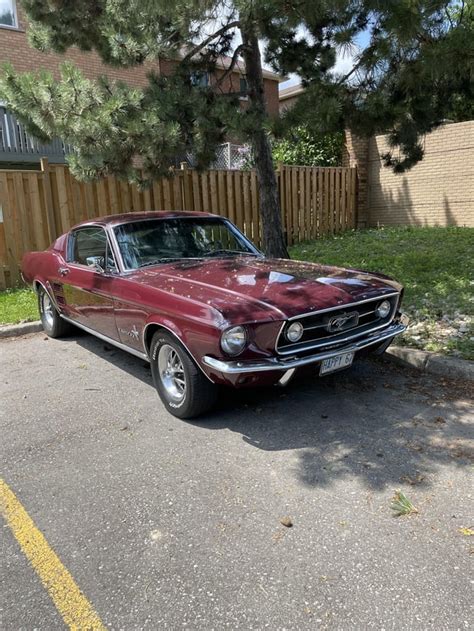 There’s this beautiful 67 Fastback sitting quietly in the corner of the ...