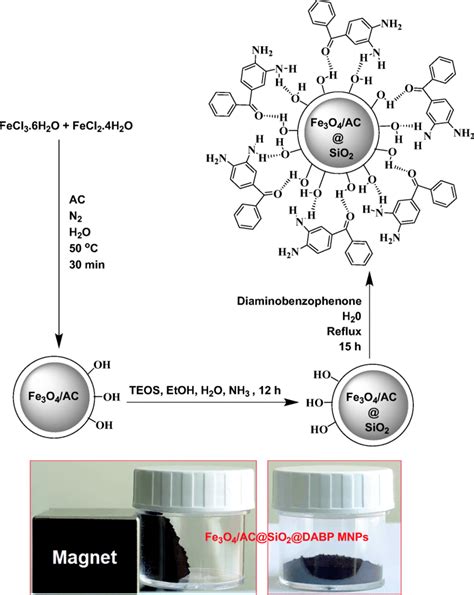 Schematic Illustration Of The Preparation And Magnetic Nature Of The