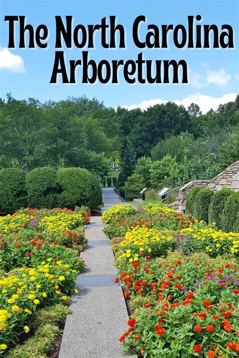 Visiting The North Carolina Arboretum - Carolina Day Trip Tips