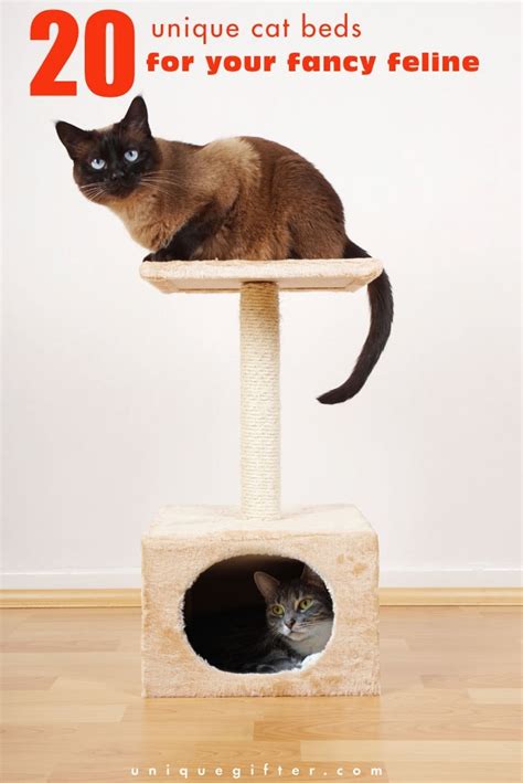 20 Unique Cat Beds For Your Fancy Feline Unique Ter