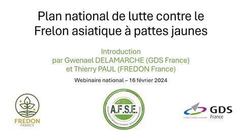 Pr Sentation Du Plan National Frelon Pattes Jaunes F Vrier