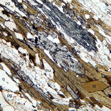 photomicrograph  plane polarized light   manhattan schist  om