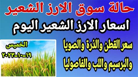 اسعار الارز الشعير اليوم حالة سوق الارز الشعير والذرة والصويا واسعار