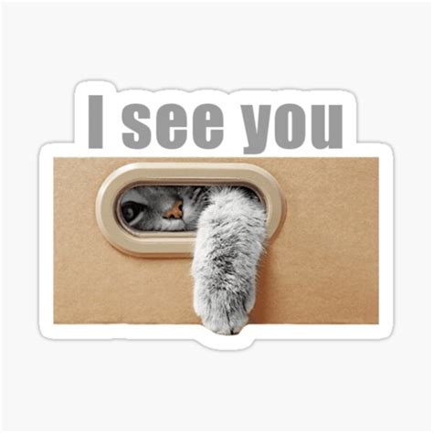 I See You Cat Meme Sticker By Cutekaley Redbubble