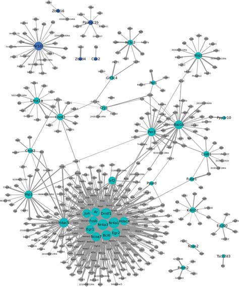 Weighted Gene Coexpression Network Analysis Network Of Transcription