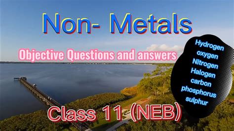 Inorganic Chemistry Class 11 Non Metals All Chapters Important Mcqs