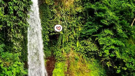 Wisata Ke Curug Luhur Air Terjun Di Bogor Yang Sejuk Orami