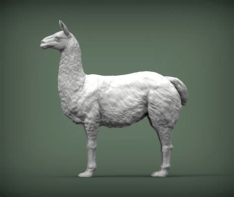 Файл Stl Lama 3d Print Model 🗿 Obj・3d печатная модель для загрузки・cults