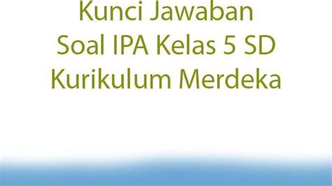 Kunci Jawaban Soal Ipa Kelas Sd Kurikulum Merdeka Tribunpontianak Co Id