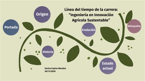 L Nea Del Tiempo De La Carrera De Ingenier A En Innovaci N Agr Cola By