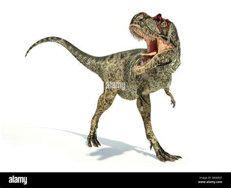 Albertosaurus Dinosaur Photo Realistic And Scientifically Correct Representation Dynamic