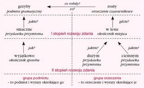 Rozbi R I Wykres Zdania Pojedynczego Grupa Podmiotu I Orzeczenia