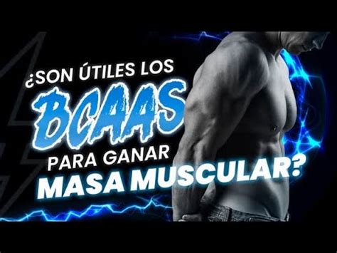 Qué son los BCAAS y para qué sirven Ayudan a Ganar Masa Muscular o