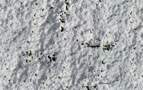 Snow with grass texture seamless 12789