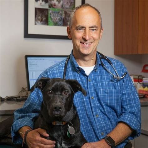 Veterinarian In New York Ny 10001 West Chelsea Veterinary