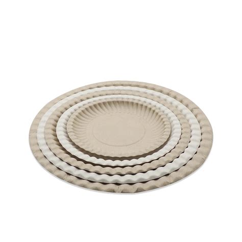 Eco Friendly Disposable Biodegradable Plates Sugarcane Bagasse Paper