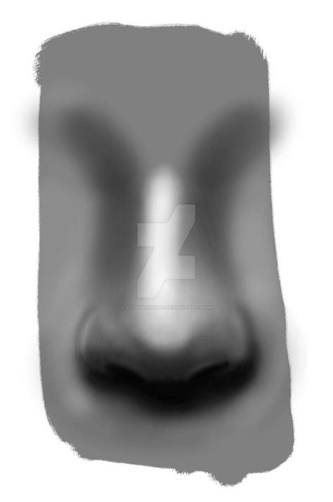 Realistic Nose by StillSHOTO777 on DeviantArt