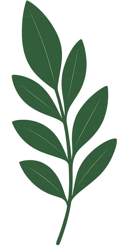 Molde Folhas Png - Molde de Folha em PNG: 12 Modelos para Imprimir - Dicas Práticas