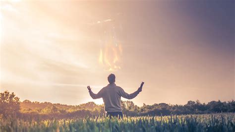 La santidad es luchar día tras día