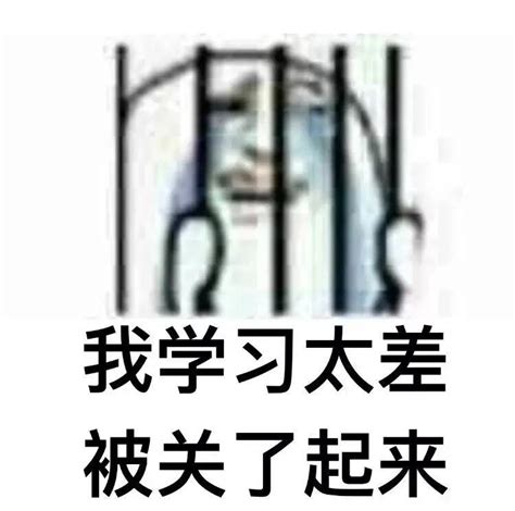 史上最全学习专用表情包！ 哔哩哔哩