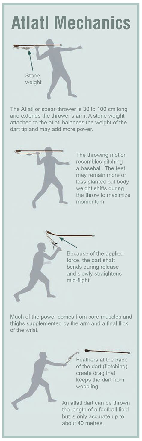 Atlatl Mechanics Diagram Of A Person Bending Their Left Arm Back