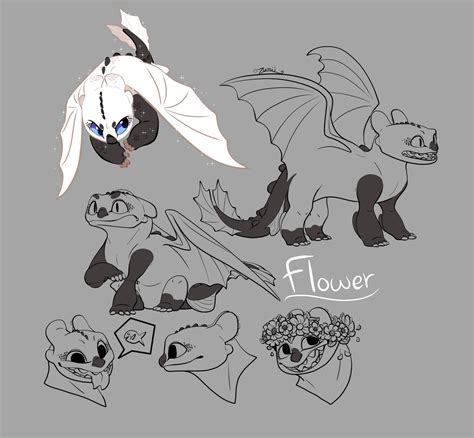 Httyd Flower Character Sheet Redraw By Lumiidragon On Deviantart