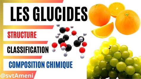 Les Glucides Structure Composition Chimique Et Classification YouTube