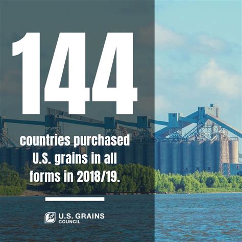 feed grains   forms  grains council  grains