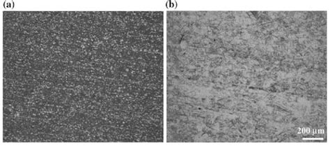 Optical Micrographs Showing The Base Metal Microstructures Of A D3 Tool