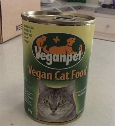 The cat on this can of vegan cat food looks thoroughly unimpressed. : r ...