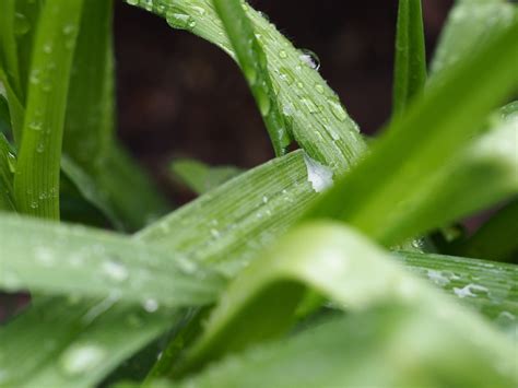 Waterdrop Reflection Drops - Free photo on Pixabay