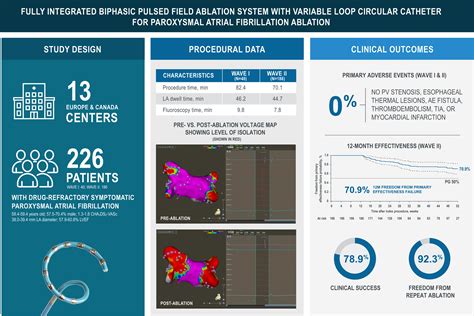 Paroxysmal Atrial Fibrillation Ablation Using A Novel Variable Loop