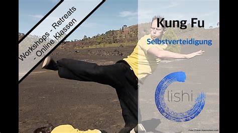 Dao Kung Fu Selbstverteidigung Locks Kicks Aikido Wing Chun