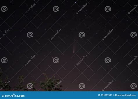 Comet Neowise In The Black Starry Night Sky The Sky Of The Northern