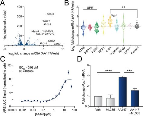 Metabolically Activated Proteostasis Regulators Protect Against