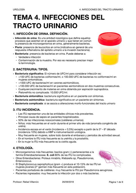 Infecciones De Tracto Urinario Urolog A Infecciones Del Tracto