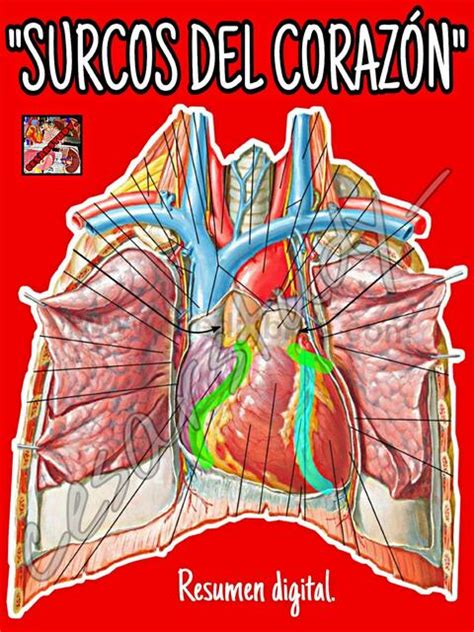 Surcos del corazón Cesarstudy uDocz